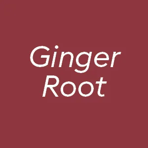 Physician's Choice Apple Cider Vinegar - 60 Capsules - ginger root