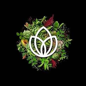 PlantFusion Vegan Complete Iron 25 mg 90 Vegan Capsules - mindful manufacturing