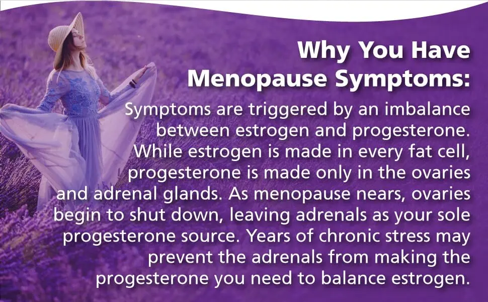 Pure Essence ProFema 120 Tablets - Menopause Support