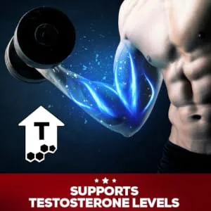 Redcon1 Boom Stick Testosterone Support 300 Capsules - Supports