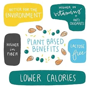 Rise Bar THE SIMPLEST PROTEIN BAR Sunflower Cinnamon 12 Bars 2.1 oz (60 g) Each - pea protein bar, protein bar