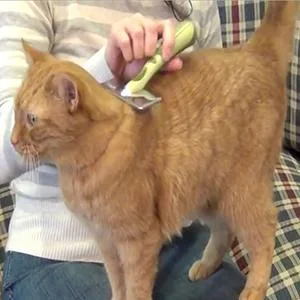 Safari Cat Shedding Comb for All Breeds of Cats - product information 4