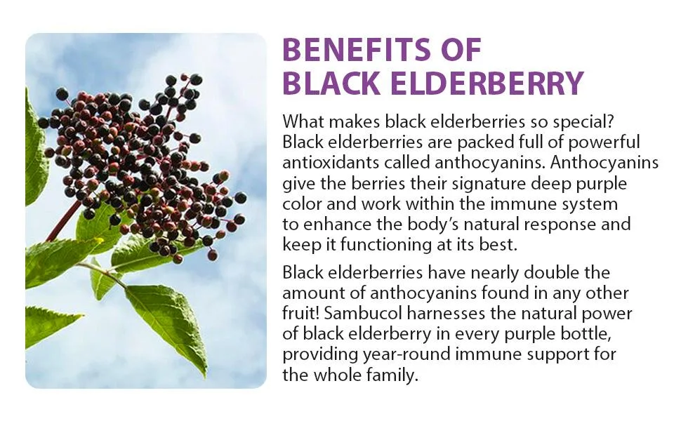 Sambucol Black Elderberry Syrup Advanced Immune Vitamin C + Zinc Natural Berry 4 fl oz (120 ml) - Benefits of Black Elderberry