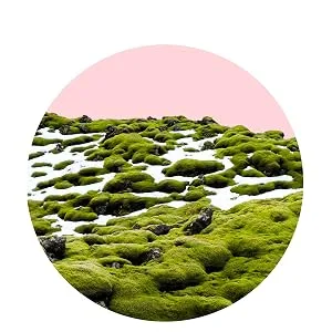 Saturday Skin Waterfall Glacier Water Cream 1.69 fl oz (50 ml) - iceland moss
