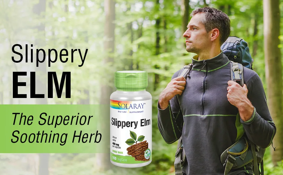 Solaray Slippery Elm 400 mg 100 VegCaps - Solaray Slippery Elm Bark 400mg Respiratory Tract Throat Comfort Gastrointestinal 100 VegCaps