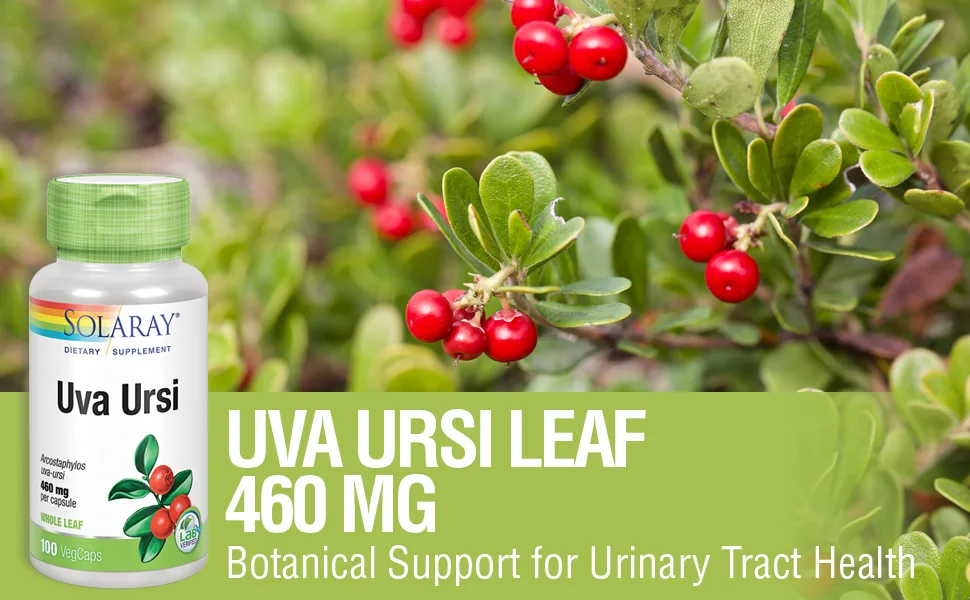 Solaray Uva Ursi 460 mg 100 VegCaps - Solaray Uva Ursi Leaf Urinary Tract Support, 100ct