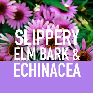 Sports Research Liquid Elderberry Sambucus Complex Spray 1040 mg 2 fl oz (60 ml) - sambucus black elderberry slippery elm bark echinacea