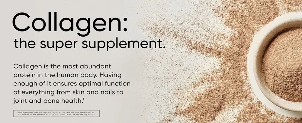 Sports Research Multi Collagen Complex Chocolate 1.03 lb (465 g) - sr collagen complex powder peptides protein vital proteins supplements hair skin nails joints bones