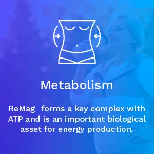 RnA ReSet The Magnesium Miracle - 8.1 Fl Oz. - ReMag forms a key complex with ATP and is an important biological asset for energy production