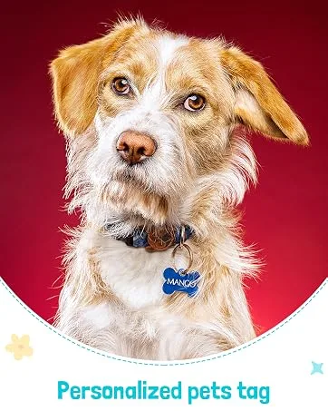 Personalize Pro Passed Driving Test Cake Topper Congratulations Party Decoration Cake Topper Learner Driver Gift Cake Topper Party Decor Glitter Cake Topper Cake Decoration Red - Personalized-pets-tag