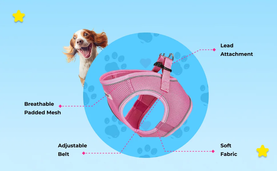 Bunty Medium Dog Harness & Puppy Harness - Durable Lightweight Design Breathable Comfy Padded Reflective Trim - Anti Pull Dog Harness Medium Lead Attachment Easy Fit - Yellow Medium Yellow - Bunty