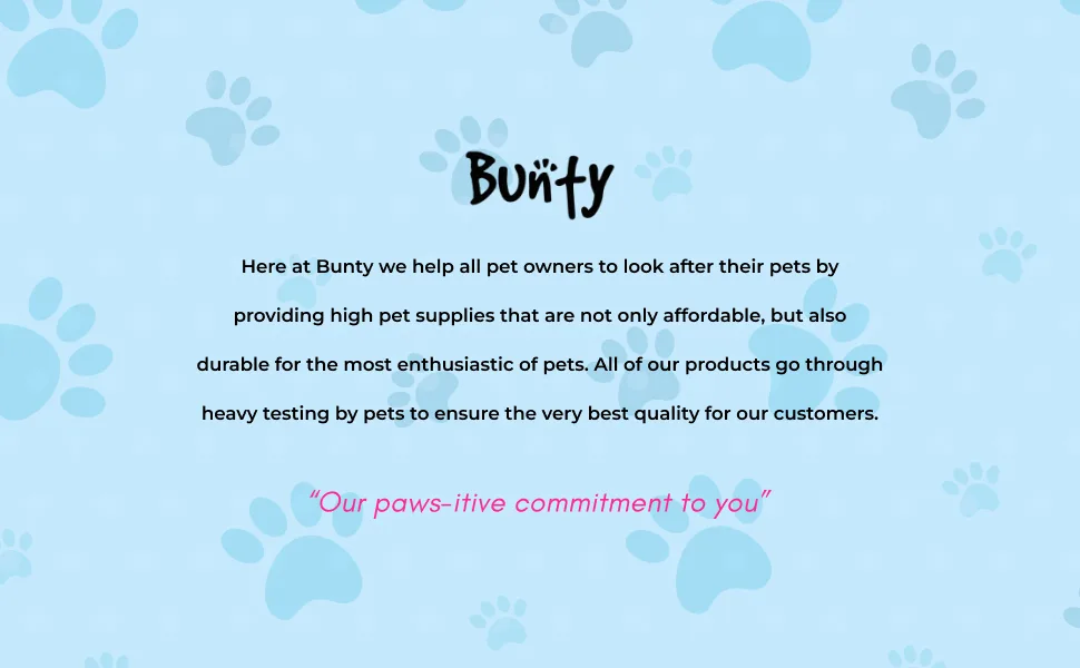 Bunty Medium Dog Harness & Puppy Harness - Durable Lightweight Design Breathable Comfy Padded Reflective Trim - Anti Pull Dog Harness Medium Lead Attachment Easy Fit - Yellow Medium Yellow - Bunty