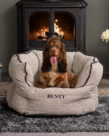 Bunty Medium Dog Harness & Puppy Harness - Durable Lightweight Design Breathable Comfy Padded Reflective Trim - Anti Pull Dog Harness Medium Lead Attachment Easy Fit - Yellow Medium Yellow - The Regal Dog Bed