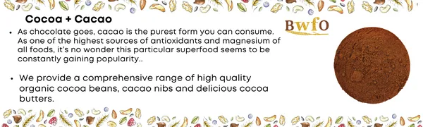 Organic Cacao Beans 500g (BWFO) - cocoa, cacao