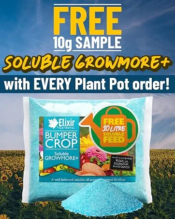 Elixir Gardens Epsom Salt (Pharmaceutical Grade) | Various Qty Available (from 300g - 25kg) | Supplied in Bag (3kg) 3 kg (Pack of 1) - soluble growmore promo