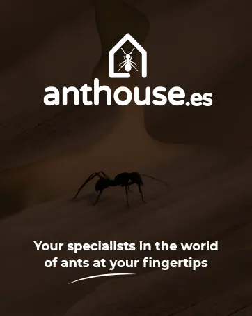 Anthouse Ant Feeders Pack Includes 3 Sizes Easy Access for the Ants and Compatible with All Types of Terrariums and Ant Farms - anthouse house ants collection collector anthill care animals deco decoration