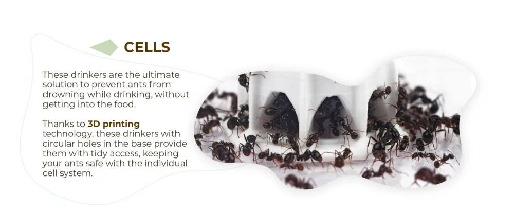 Anthouse Ant Feeders Pack Includes 3 Sizes Easy Access for the Ants and Compatible with All Types of Terrariums and Ant Farms - img5