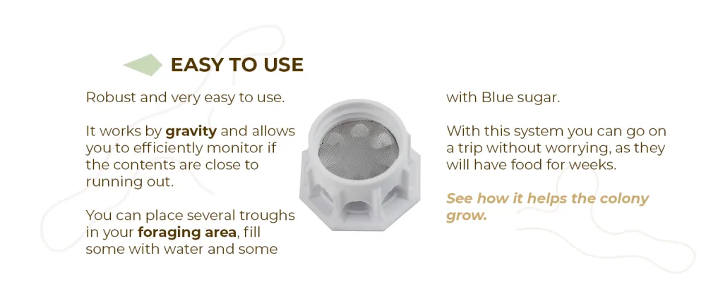 Anthouse Ant Feeders Pack Includes 3 Sizes Easy Access for the Ants and Compatible with All Types of Terrariums and Ant Farms - img7