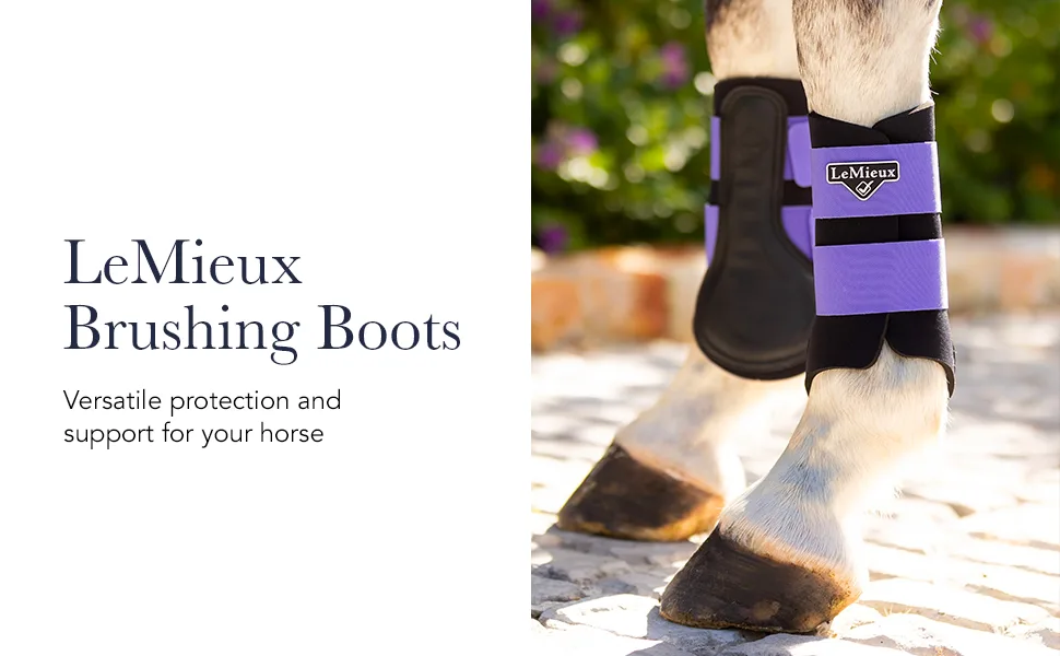 LeMieux Grafter Unisex Adults Brushing Boots Small Black - brushing jumps professional choice sport jumping tendon sports medicine shipping back track