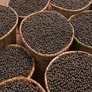 Sunfood Organic Acai Powder 4 oz (113 g) - Acai Baskets