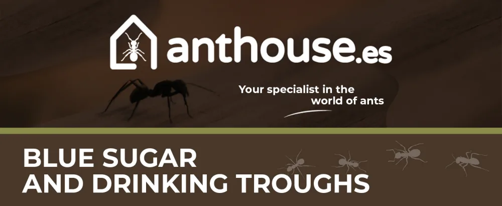 AntHouse 5ml Ant Feeders Pack Easy Access for the Ants and Compatible with All Types of Terrariums and Ant Farms (3 units) - img1