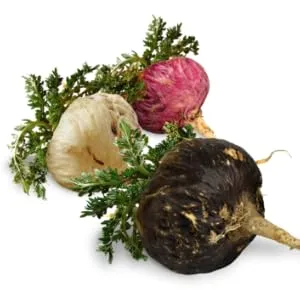 Sunfood Raw Organic Maca Extreme 8 oz (227 g) - Maca Roots