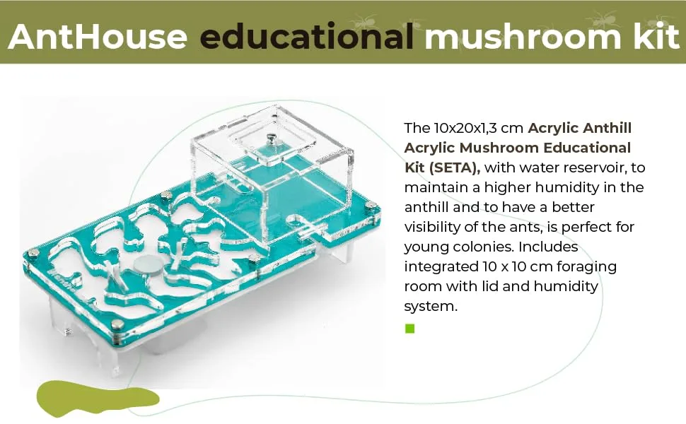 AntHouse - Acrylic Ant Hill | Educational Kit 10 x 20 x 1'3 cm | Mushroom Ant Farm | Black - ANTHOUSE