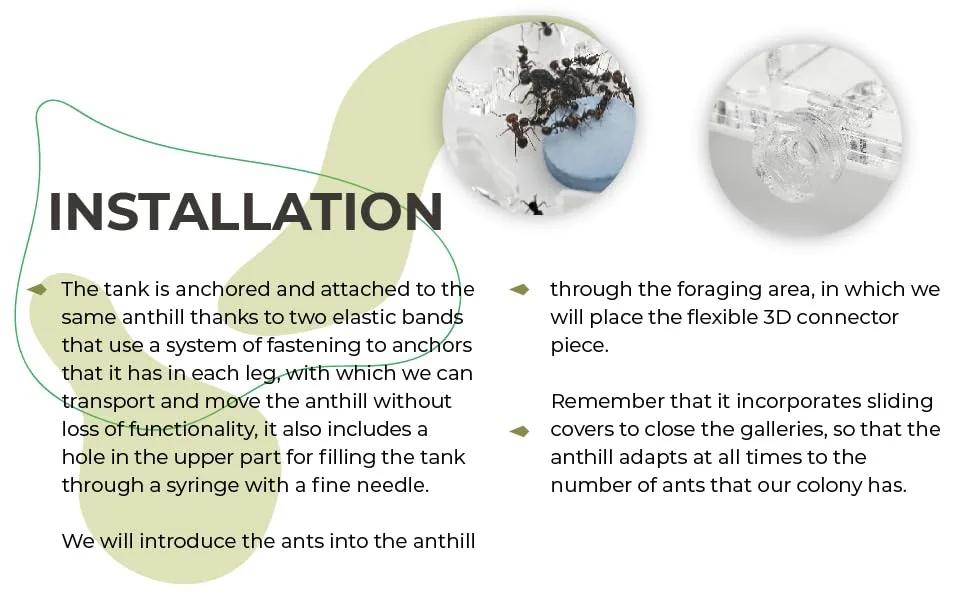 AntHouse - Acrylic Ant Hill | Educational Kit 10 x 20 x 1'3 cm | Mushroom Ant Farm | Black - ANTHOUSE