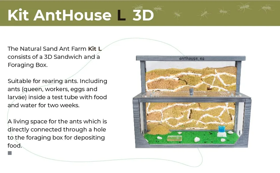 AntHouse - Natural sand ant farm 3D - Model L (sandwich + feed box) Blue - ANTHOUSE
