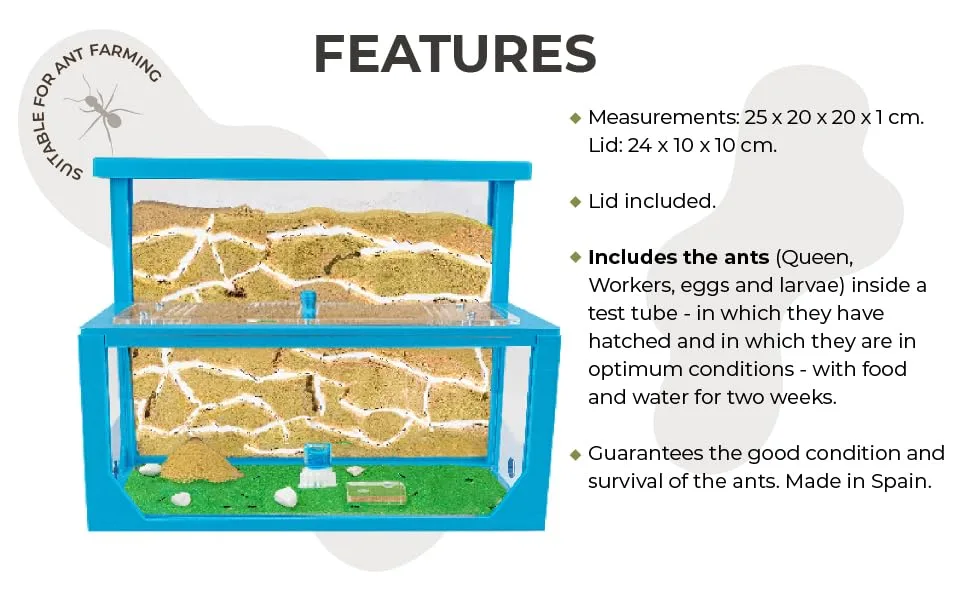AntHouse - Natural sand ant farm 3D - Model L (sandwich + feed box) Blue - ANTHOUSE