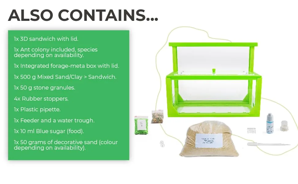 AntHouse - Natural sand ant farm 3D - Model L (sandwich + feed box) Blue - ANTHOUSE