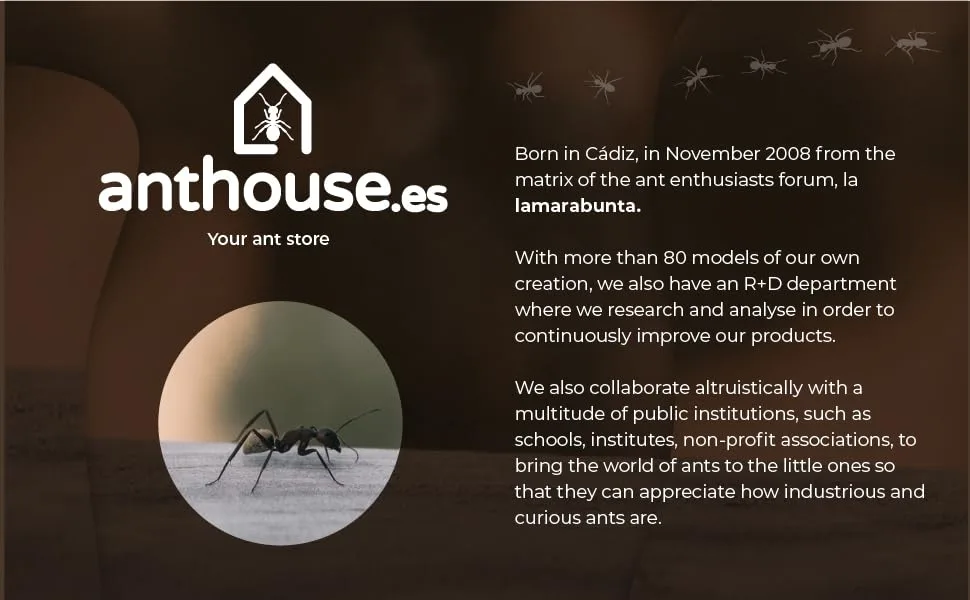 AntHouse - Natural sand ant farm 3D - Model L (sandwich + feed box) Blue - ANTHOUSE