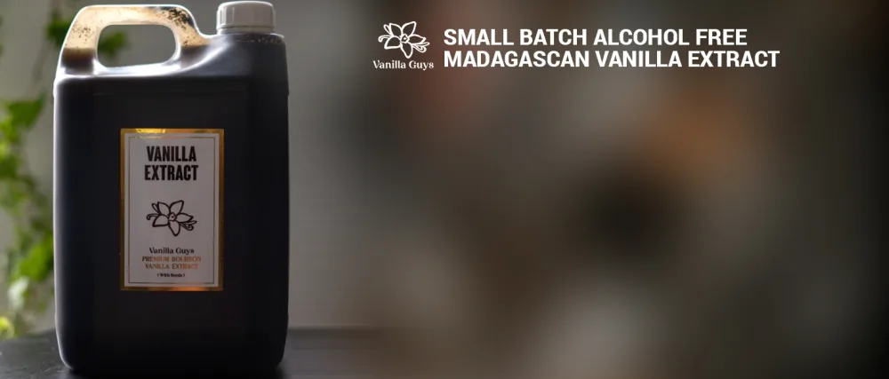 5 Litre Alcohol Free Madagascan Extract (1 Fold) - extract-bg