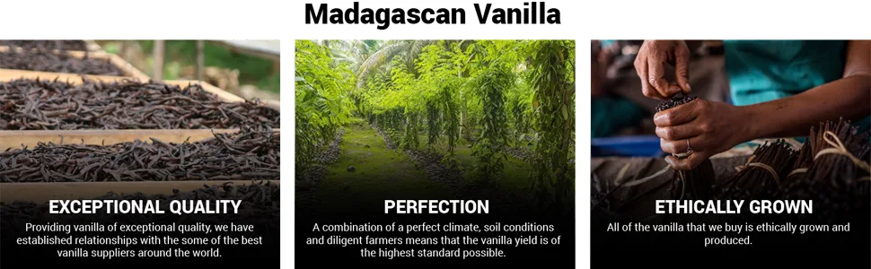 5 Litre Alcohol Free Madagascan Extract (1 Fold) - quality