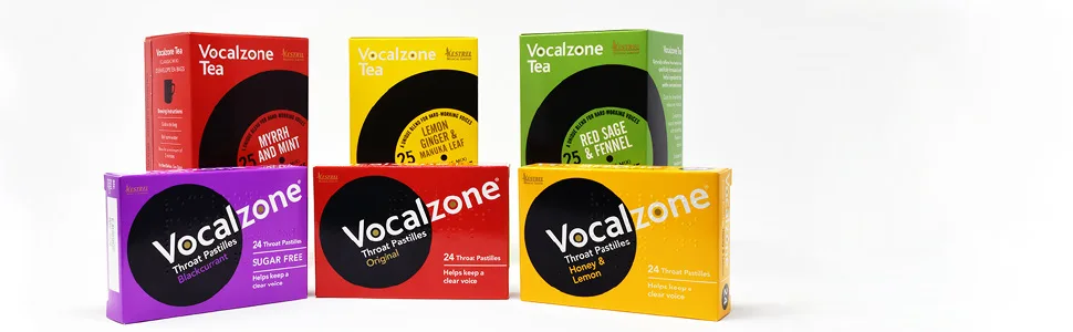 Vocalzone Pastilles 24 Myrrh Tincture Peppermint oil Menthol 24 Count (Pack of 1) - Vocalzone full range