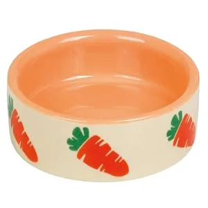 Nobby Rodent Ceramic Bowl Carrot Beige Orange Diameter 7.5 x 2.5 cm 55 ml Pack of 1 - Photo.