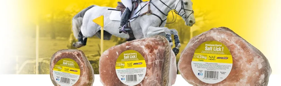 NAF Himalayan Salt Licks - Small - Salt Lick for Horses