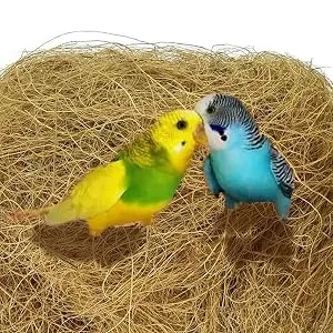 Youany Bird Nesting Material 100g Natural Coconut Fiber Fibres Birds Coconut Mat Nesting Material Natural Coco Liners Comfortable Bedding For Small Birds And Animals - Multi-Purpose and Bedding