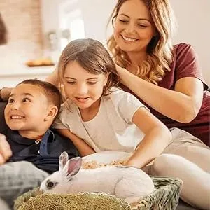 Youany Bird Nesting Material 100g Natural Coconut Fiber Fibres Birds Coconut Mat Nesting Material Natural Coco Liners Comfortable Bedding For Small Birds And Animals - Nurturing Nesting Choice