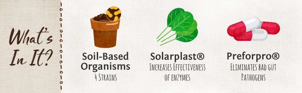 Sunwarrior Probiotics 30 Vegan Capsules - Sunwarrior Probiotics What is in it