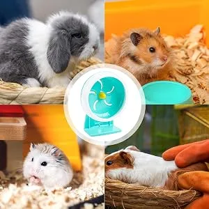 Hamster Running Wheel - Quiet Small Mouse Wheel | Multifunctional Small Animal Training Supplies 7 Inch Running Disc with Non-Slip Surface for Chinchilla Mouse Squirrel Blue - Easily Installed