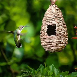 Baoblaze 15x Handmade Bamboo Wicker Canary Nest Pans For Cage Hanging - Birdhouse nest