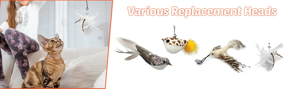 DONGKER 8pcs Cat Rod Replacement Feathers Interactive Cat Replacement Feathers With Bell for Cat Wand Toys Chasing Toys - product information 8
