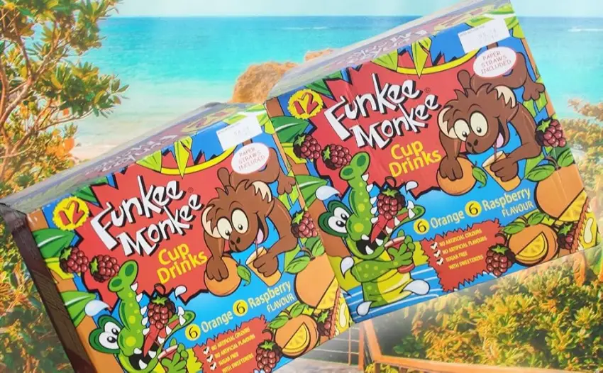 2 Pack Funkee Monkee Cup Drinks 12 x 200ml Box Set with Paper Straws Orange & Raspberry Flavors - Funkee