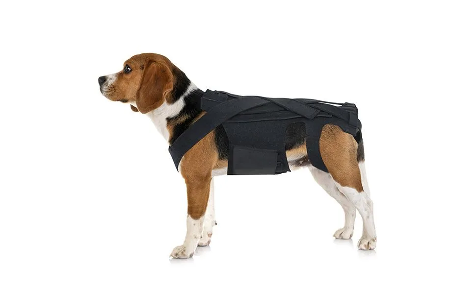 Luckxing Breathable Dog Back Brace - Helps Dogs with Spinal Problems Rehabilitation | Back Support Rehabilitation Easy to Wear and Off Black - Dog Back Support - Durable Dachshund Back Protector