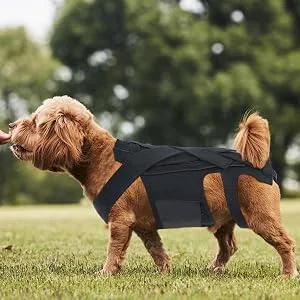 Luckxing Breathable Dog Back Brace - Helps Dogs with Spinal Problems Rehabilitation | Back Support Rehabilitation Easy to Wear and Off Black - Professional Design