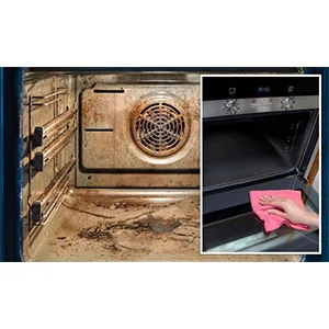 Janit-X Oven & Grill Cleaner 750ml (1) - Oven