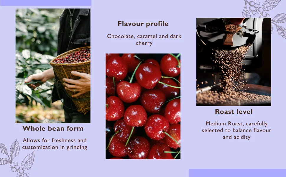 Maravi Specialty Coffee Beans - Second Cup Blend with Gourmet Blend of Honduras & Uganda Coffee - Whole Beans Medium Roast - Chocolate Caramel & Dark Cherry Notes - Ideal for Filter - Roasted Whole bean