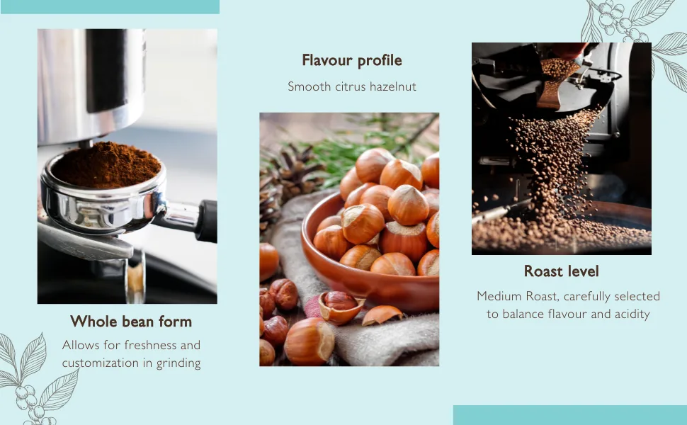 Maravi Speciality Coffee - Playa Honduras Arabica Coffee - Percolator Grind Coffee - Medium Roast - Citrus & Hazelnut Notes - 400g Percolator Grind 400 g (Pack of 1) - Whole bean