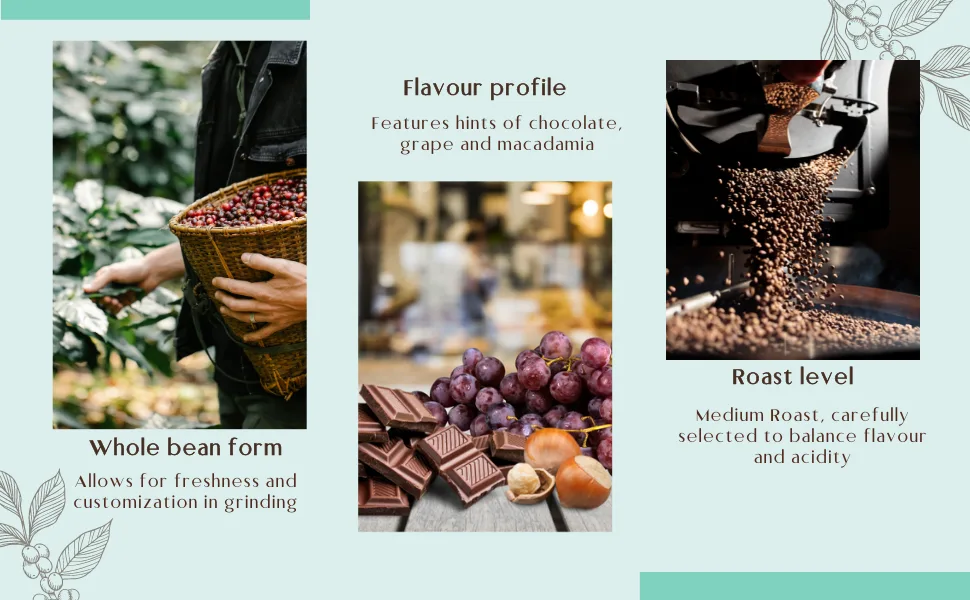 Maravi Speciality Coffee - Costa Rica SHB Arabica Coffee - Drip Grind Coffee - Medium Roast - Chocolate Grape & Macadamia Notes - 400g Drip Grind 400 g (Pack of 1) - Artisanal Roasting